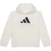 adidas Kids Long Sleeve Essential Hooded Graphic Pullover(Big Kid) | Hoodies & Sweatshirts