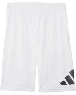 adidas Kids Essentials Big Logo Shorts (Big Kids) -Adidas Kids Shop 51VsXszGNL. AC SR736920
