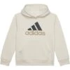 adidas Kids Essential Hooded Pullover (Big Kids) | Hoodies & Sweatshirts 1 adidas Kids Essential Hooded Pullover (Big Kids) | Hoodies & Sweatshirts -Adidas Kids Shop 61SXj8nT95L. AC SR736920