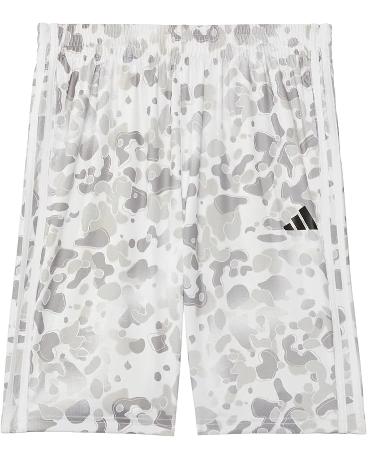 adidas Kids AOP Camo Short S24(Big Kid) | Shorts 6 adidas Kids AOP Camo Short S24(Big Kid) | Shorts - Image 4