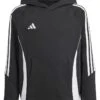 adidas Kids Tiro24 Sweat Hoodie (Little Kids/Big Kids) | Hoodies & Sweatshirts
