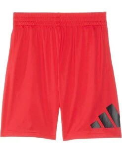 adidas Kids Essentials Big Logo Shorts (Big Kids)