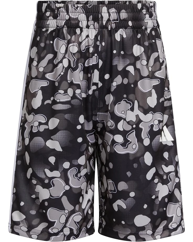 adidas Kids AOP Camo Short S24(Big Kid) | Shorts 3 adidas Kids AOP Camo Short S24(Big Kid) | Shorts