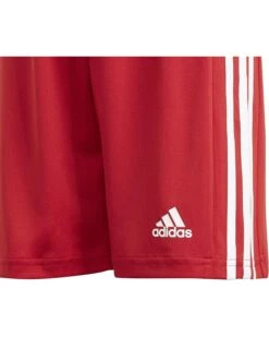 adidas Kids Squadra 21 Shorts (Little Kids/Big Kids) 10 adidas Kids Squadra 21 Shorts (Little Kids/Big Kids) -Adidas Kids Shop 91L20NtcDYL. AC SR736920